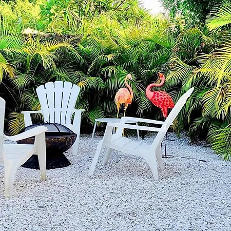 Villa The Pink Flamingo Mid Century Heated Pool Paradise